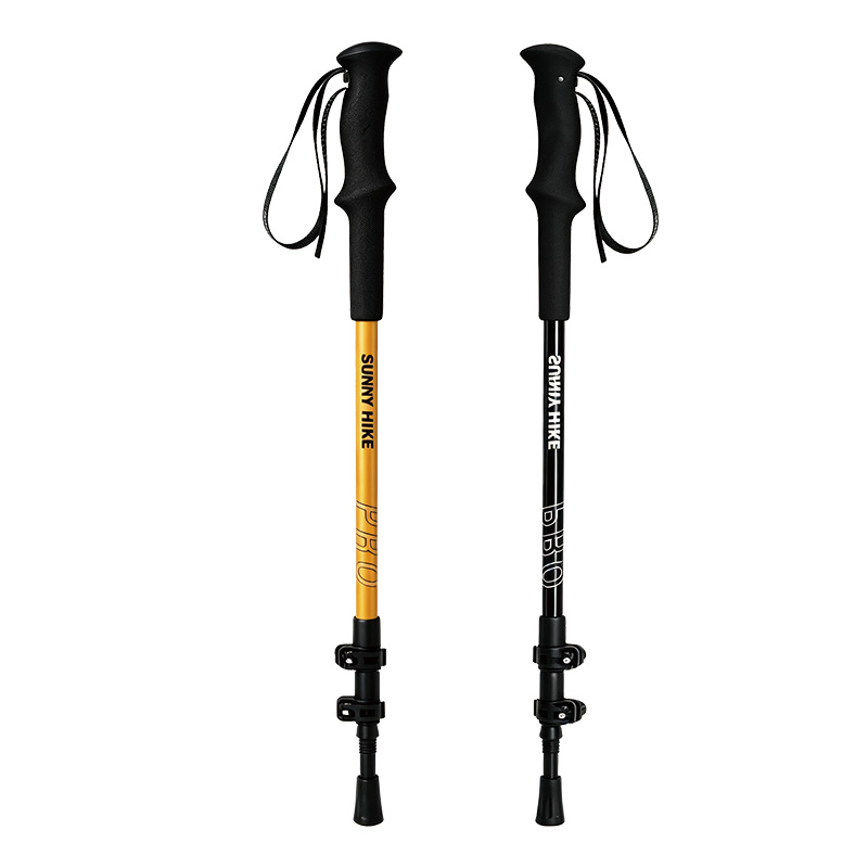 Bastones de Trekking de Alumin - Trekking Pole Carbon reseña y precio
